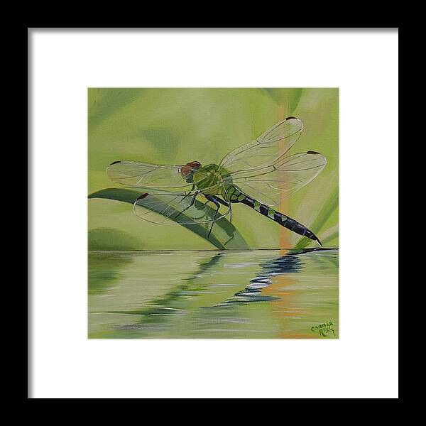 Green Dragonfly Framed Print featuring the painting Green Dragon by Connie Rish