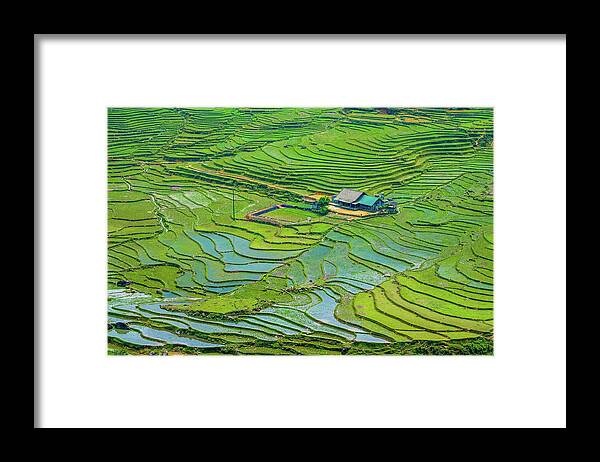 Black Framed Print featuring the photograph Green Field Terraces by Arj Munoz