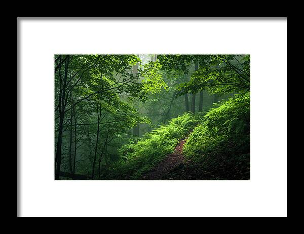 Mountain Framed Print featuring the photograph Green Forest by Evgeni Dinev