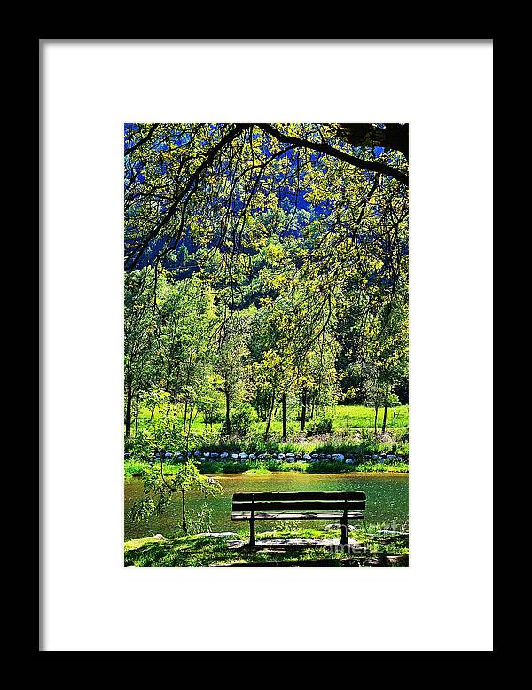 Green Framed Print featuring the photograph Green Heaven by Ramona Matei