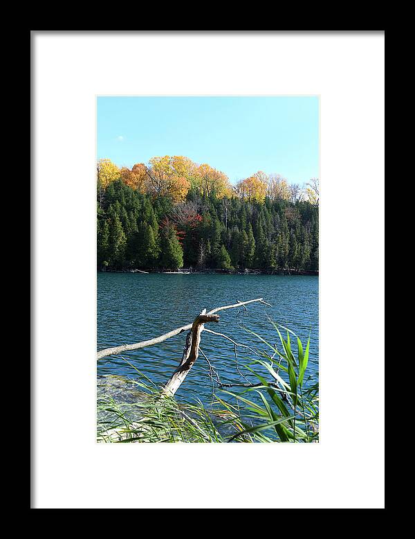 Nature Framed Print featuring the photograph Green Lakes State Park by Flinn Hackett