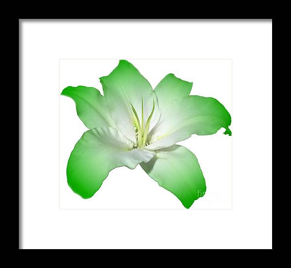 Green Framed Print featuring the photograph Green Lily Flower by Delynn Addams