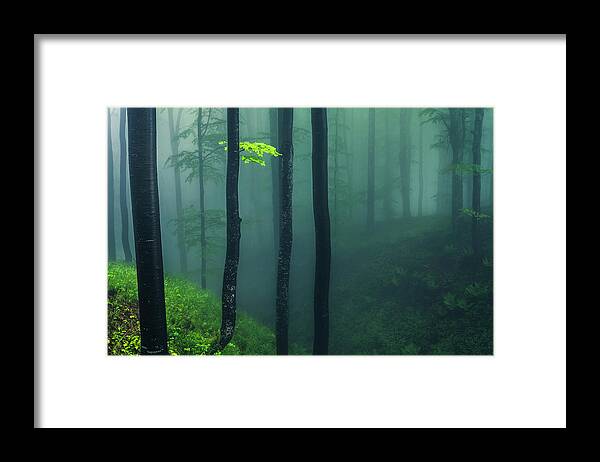 Balkan Mountains Framed Print featuring the photograph Green Mist by Evgeni Dinev