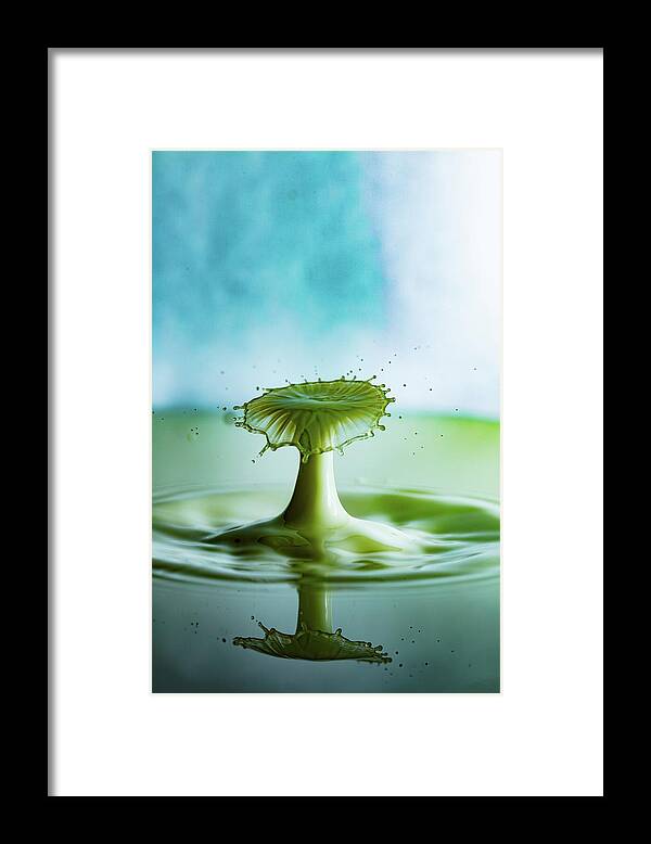 Wall Art Framed Print featuring the photograph Green Mushroom by Marlo Horne