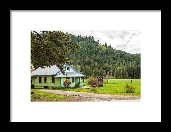 Green On Green Framed Print featuring the photograph Green on Green by Tom Cochran