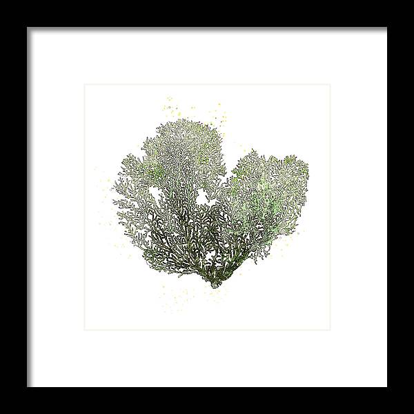 Framed Print featuring the mixed media Green Sea Fan by Pamela Williams