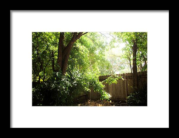 Green Framed Print featuring the photograph Green Sunshine Fence by W Craig Photography