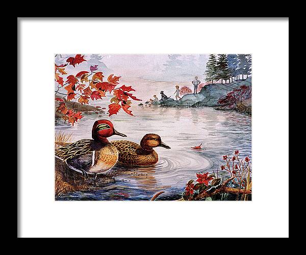 Ducks Framed Print featuring the painting Greenwinged Teal Ducks by Marilyn Smith