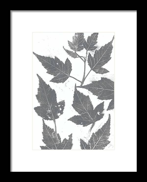Leaves Framed Print featuring the painting Grey maple leaves by Ruth Kamenev
