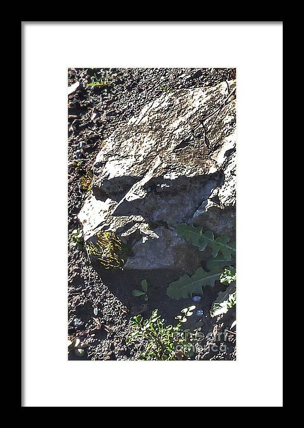 Stones Framed Print featuring the photograph Grumpy Rock by Kimberly Furey