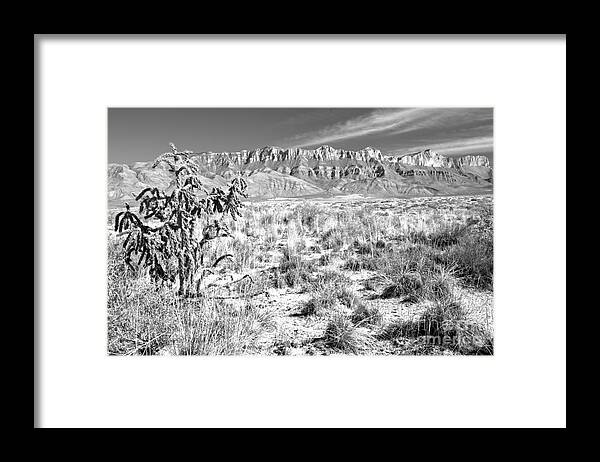 Guadalupe Framed Print featuring the photograph Guadalupe Mountains Salt Basin Dune Landscape Black And White by Adam Jewell
