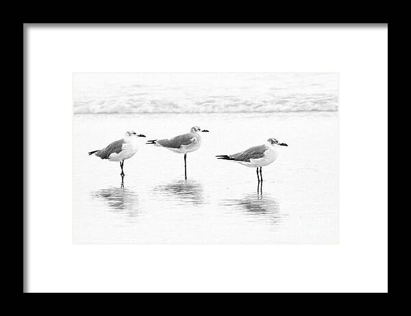Laughing Gull Framed Print featuring the digital art Gull Reflections by Jayne Carney