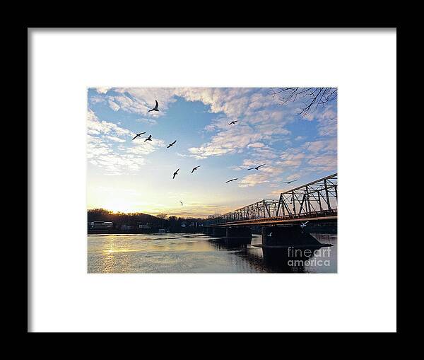 +pixels Framed Print featuring the photograph Gulls at the Bridge #2 by Christopher Plummer