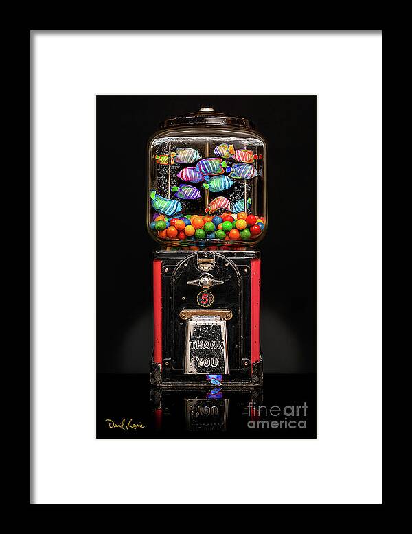 Aquarium Framed Print featuring the photograph Gumball Fish by David Levin