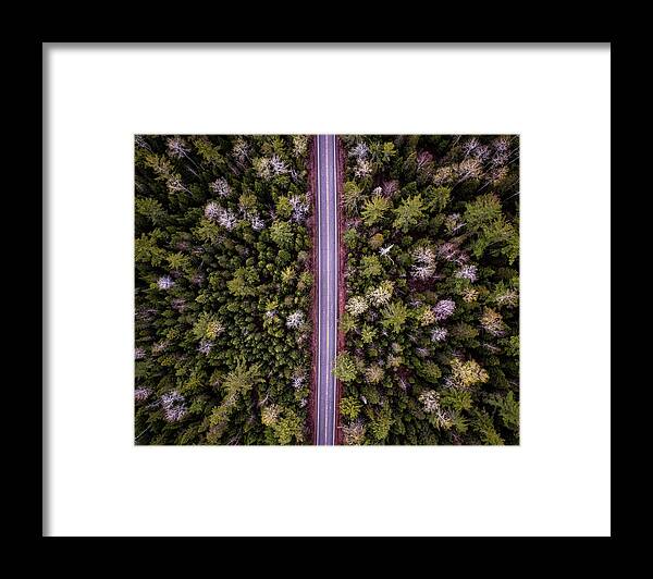 Grand Marais Framed Print featuring the photograph Gunflint Highway 2 by Matt Hammerstein
