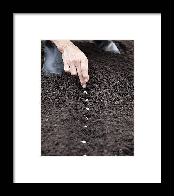 People Framed Print featuring the photograph Hands Planting Seeds In The Soil by Compassionate Eye Foundation/Steven Errico