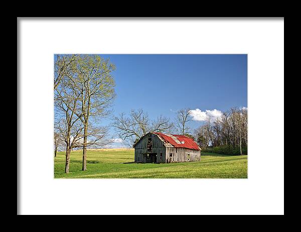 Barn Framed Print featuring the photograph Hanging on for Dear Life - old abandoned barn in Cookeville Tennessee by Peter Herman