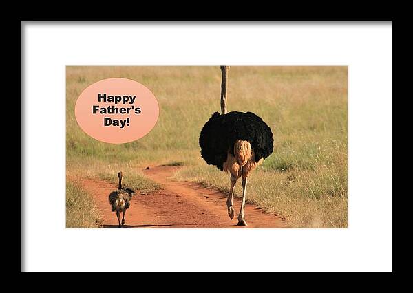 Father's Day Framed Print featuring the mixed media Happy Fathers Day Ostrich Family by Nancy Ayanna Wyatt