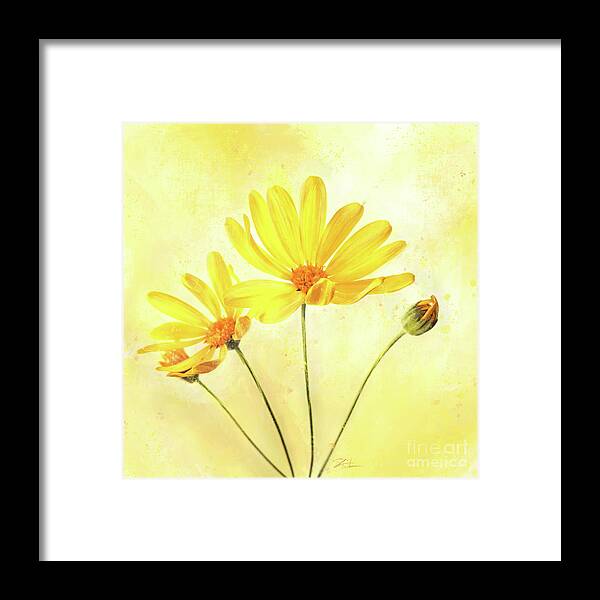 Daisy Framed Print featuring the mixed media Happy Yellow Daisies by Shari Warren
