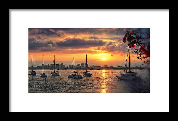 San Diego Bay Framed Print featuring the photograph Harbour Living by Lee Sie