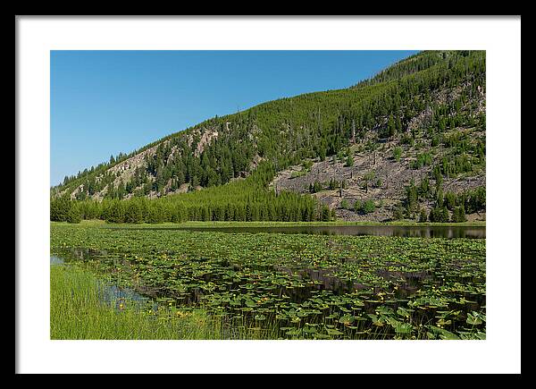 Yellowstone Framed Print featuring the photograph Harlequin Lake by Tara Krauss