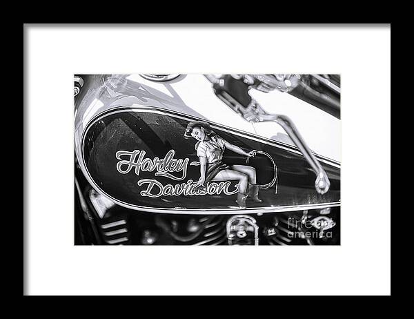 Harley Davidson Pin Up Framed Print featuring the photograph Harley Davidson Pin Up by Stefano Senise