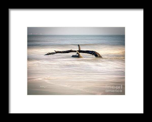 Nature Framed Print featuring the photograph Harmonious Driftwood by DB Hayes