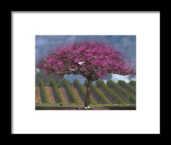 Abstract Framed Print featuring the photograph Harmony by Richard Thomas