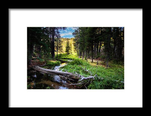 Hiking Framed Print featuring the photograph Hat Creek Paradise by Mike Lee