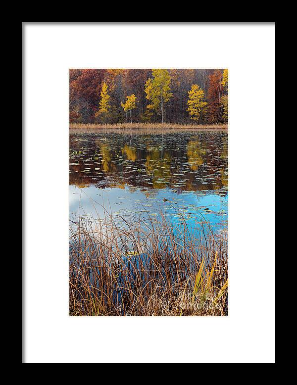 Peaceful Framed Print featuring the photograph Haven Hill Lake in Autumn FC10704 by Mark Graf