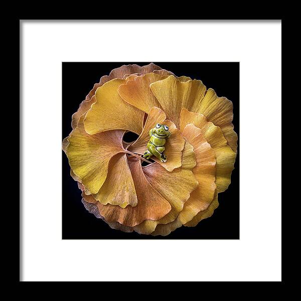 Ginkgo Biloba Framed Print featuring the photograph Having The Time Of My Life by Elvira Peretsman