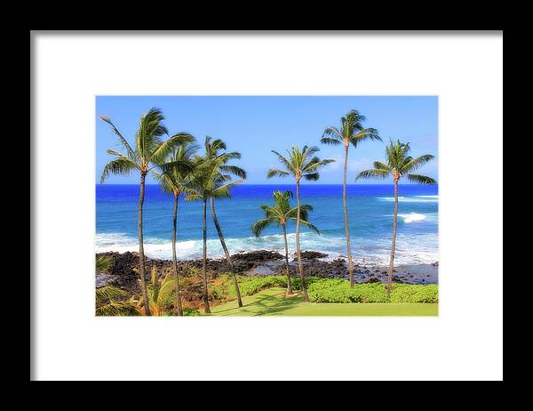 Trees Framed Print featuring the photograph Hawaiian Palm Trees by Robert Carter