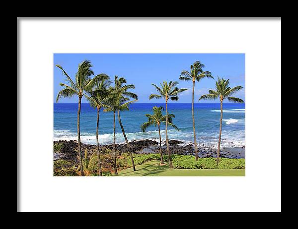 Trees Framed Print featuring the photograph Hawaiian Palms by Robert Carter