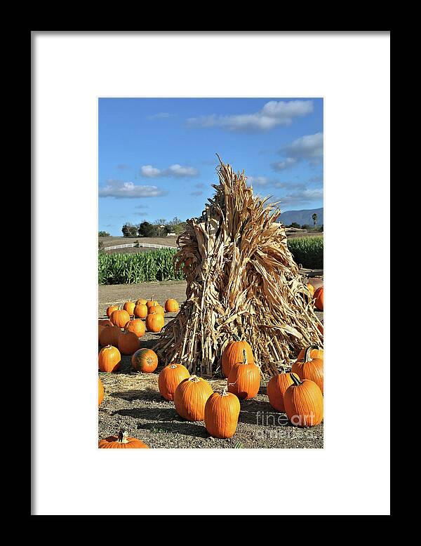 Hay Stack Framed Print featuring the photograph Hay Stack and Pumpkins by Vivian Krug Cotton