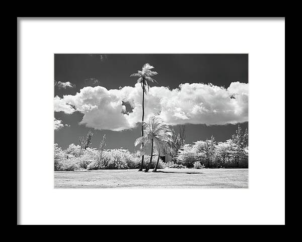 Infrared Photography Framed Print featuring the photograph Head In The Clouds by Gian Smith