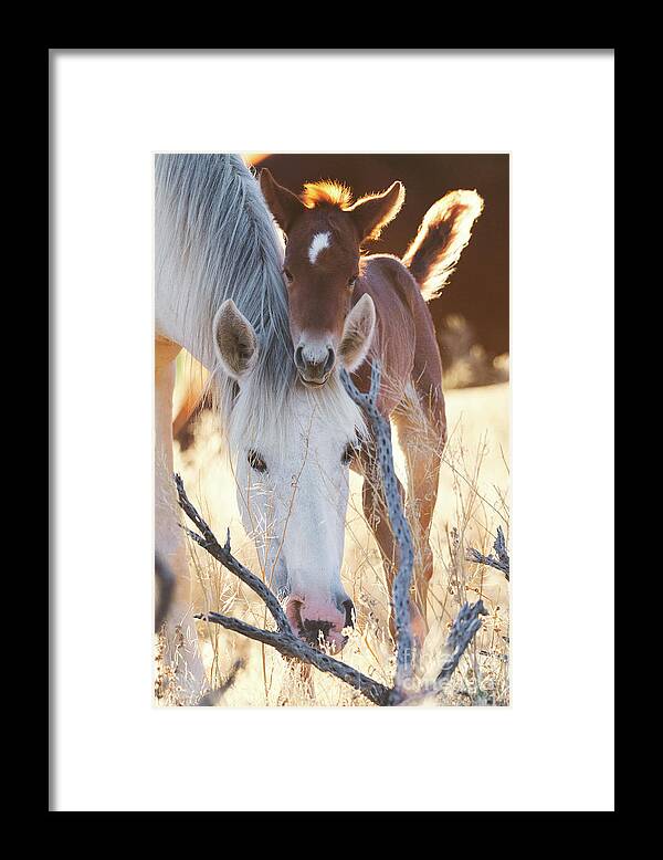 Mom & Baby Framed Print featuring the photograph Headrest by Shannon Hastings