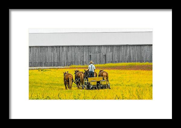Farm Framed Print featuring the photograph Heading In by Addison Likins