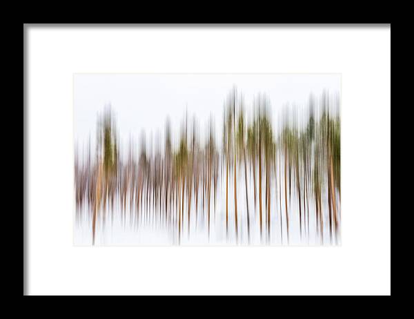 Tree Framed Print featuring the photograph Heartbeat of Winter by Kevin Schwalbe