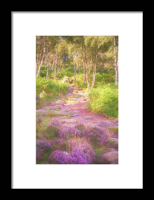 'silver Birch' Framed Print featuring the photograph Heather in the Peak District by Sue Leonard