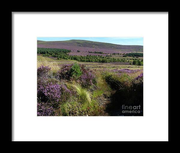 Heather Framed Print featuring the photograph Heather moorland in August - Ballindalloch by Phil Banks