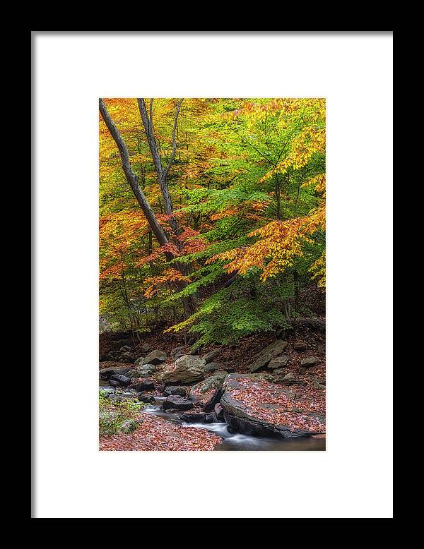Water Framed Print featuring the photograph Hedden Park NJ by Susan Candelario