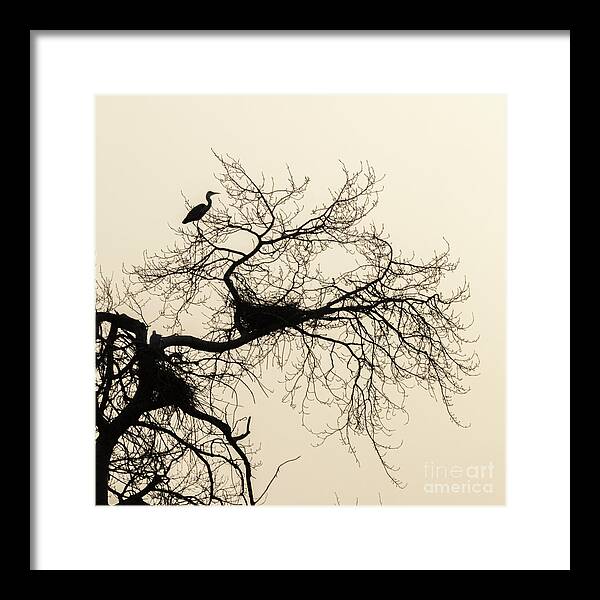 Elfhoevenplas Framed Print featuring the photograph Heron at dawn by Casper Cammeraat