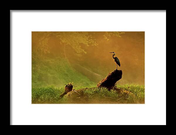 Mist Framed Print featuring the photograph Heron at Dawn by Robert Charity