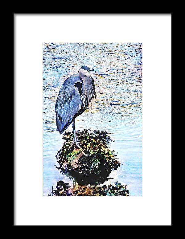 Herons Framed Print featuring the photograph Heron Fishing at Low Tide Watercolor by Peggy Collins