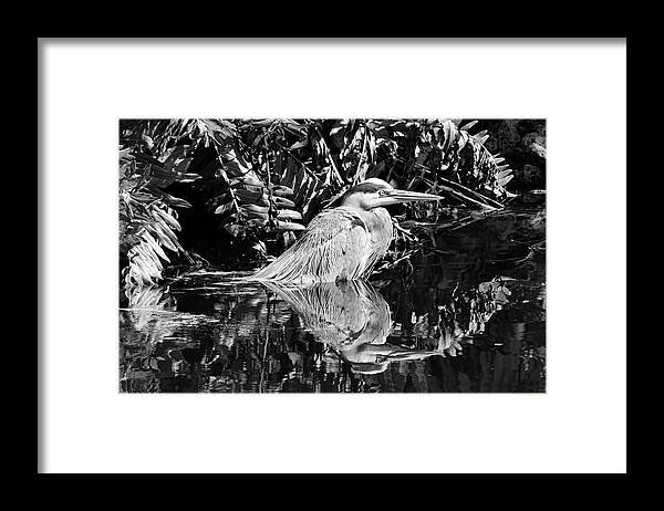Water Framed Print featuring the photograph Heron in Deep Water by Robert Wilder Jr