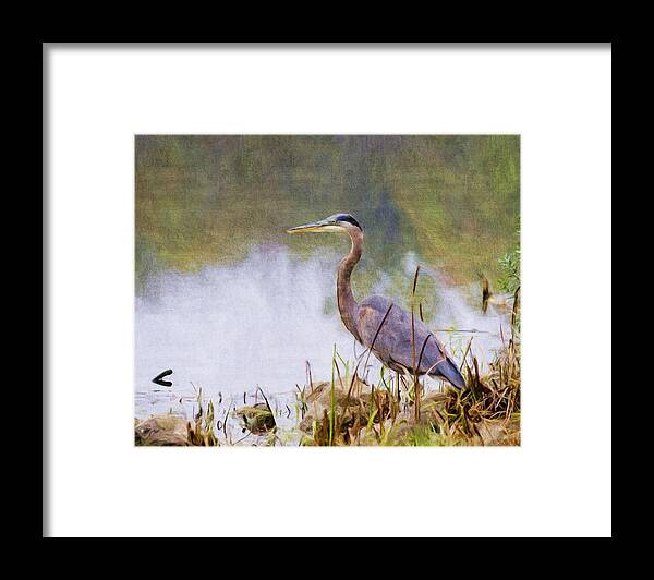 Great Blue Framed Print featuring the digital art Heron on Milwaukee River by Stacey Carlson