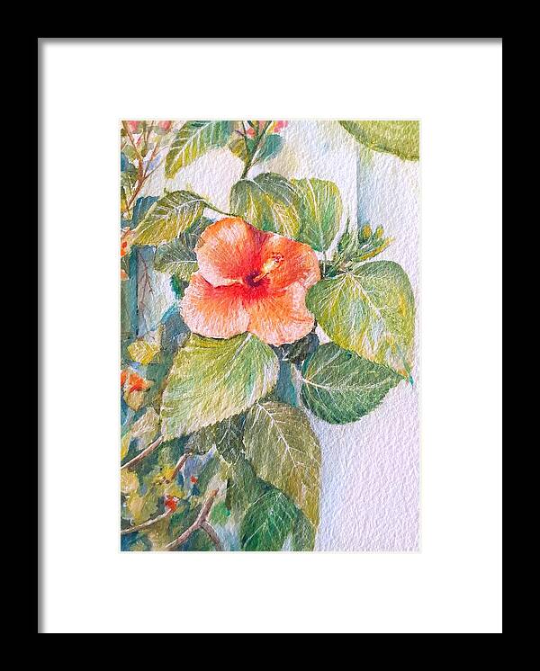 Hibiscus Framed Print featuring the painting Hibiscus by Carolina Prieto Moreno