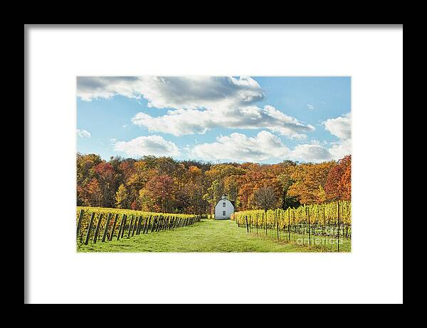 Lake Ontario Framed Print featuring the photograph Hidden Bench by Marilyn Cornwell
