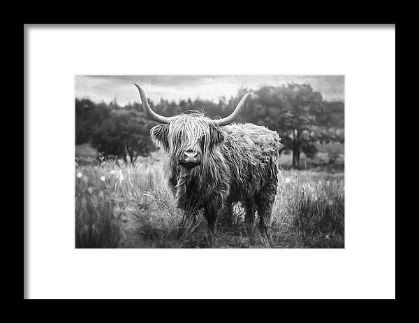 Highland Cow Framed Print featuring the photograph Highland Coo Black and White by Carol Japp