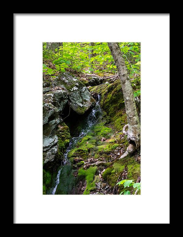 Stream Framed Print featuring the photograph Hiking Summed Up by Linda Bonaccorsi